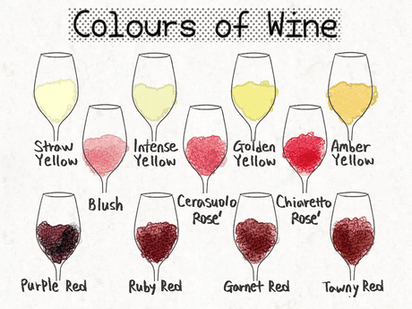 Colors-of-wine.png