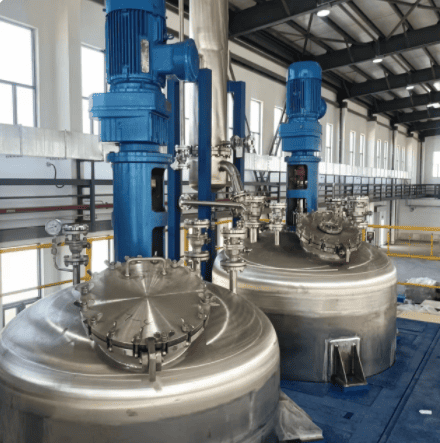 reactor with lug supporting.png